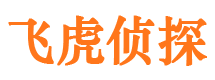 南郊侦探公司